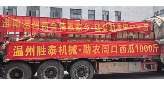 暖心助农！温州胜泰机械千斤西瓜采购，助力周口瓜农增收